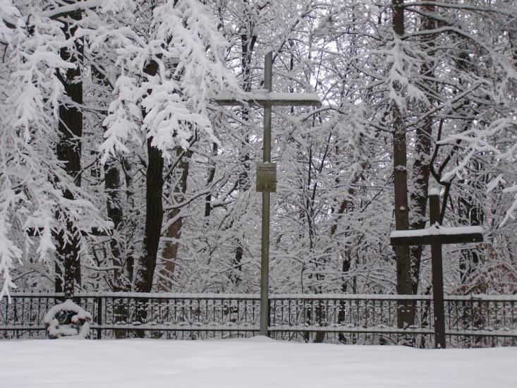 Копичинці з panoramio.com - Копычинцы