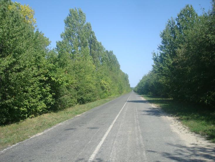 Вільховець з panoramio.com - Vilkhovets