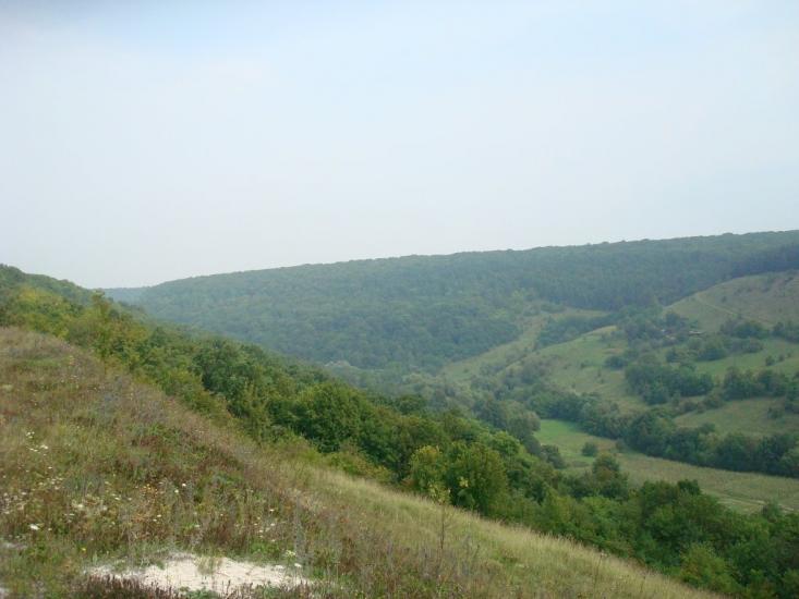 Маціорськ з panoramio.com - Маціорськ