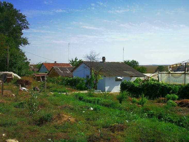 Кочергіне з panoramio.com - Кочергино