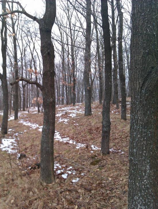 Селище з panoramio.com