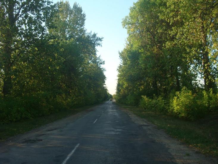 Вільховець з panoramio.com - Vilkhovets