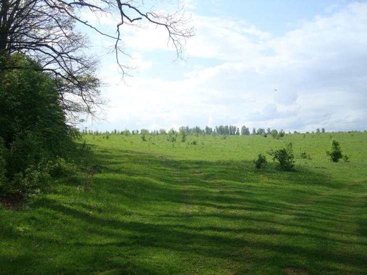 Мала Стружка з panoramio.com - Мала Стружка