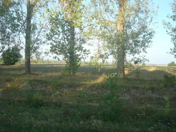 Вільховець з panoramio.com - Ольховец