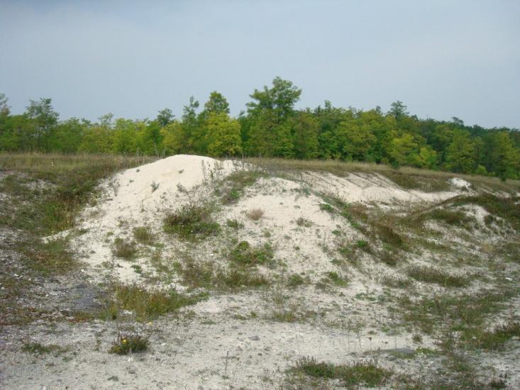 Маціорськ з panoramio.com - Matsiorsk