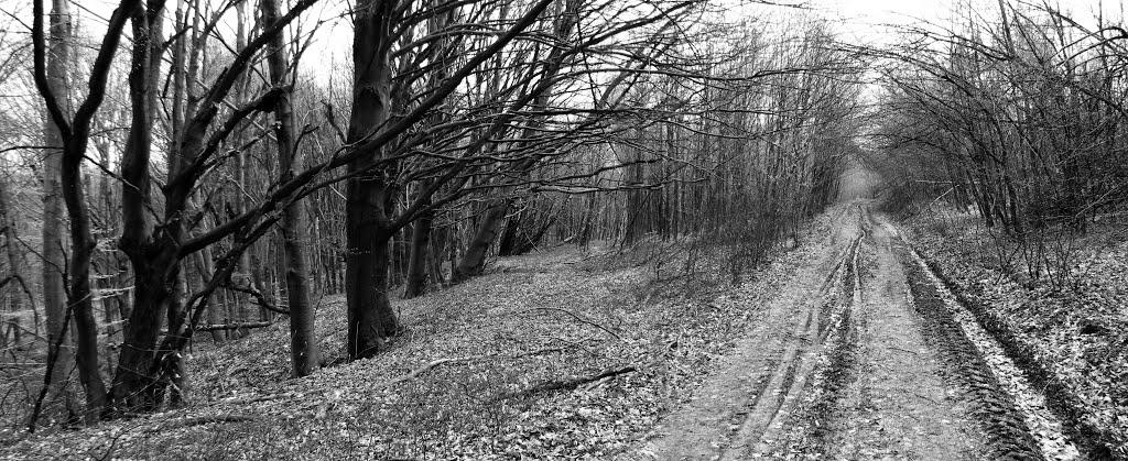 Гавареччина з panoramio.com - Гаваретчина