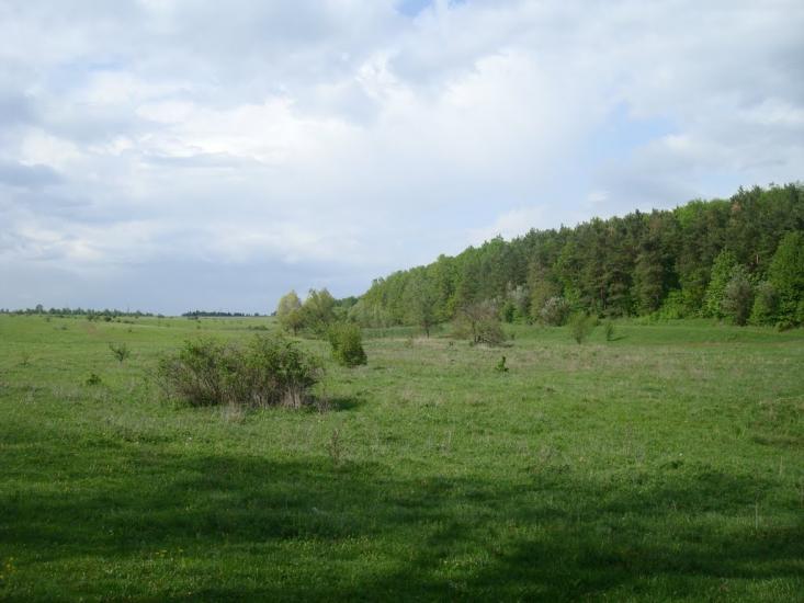 Мала Стружка з panoramio.com - Мала Стружка