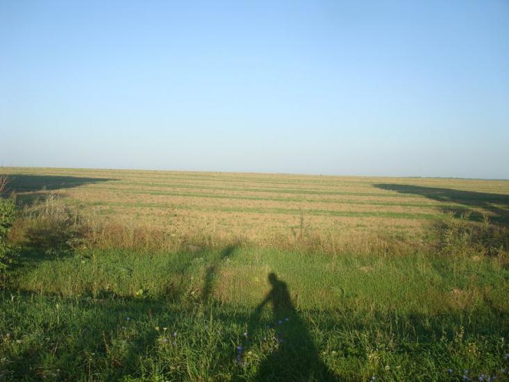 Вільховець з panoramio.com - Vilkhovets