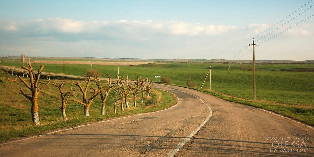 Кочергіне з panoramio.com - Кочергино