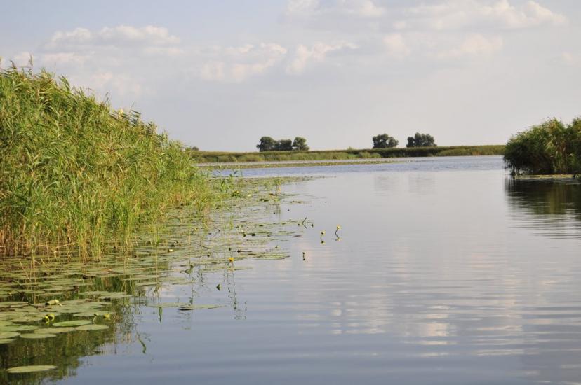 Кізомис з panoramio.com - Kizomys