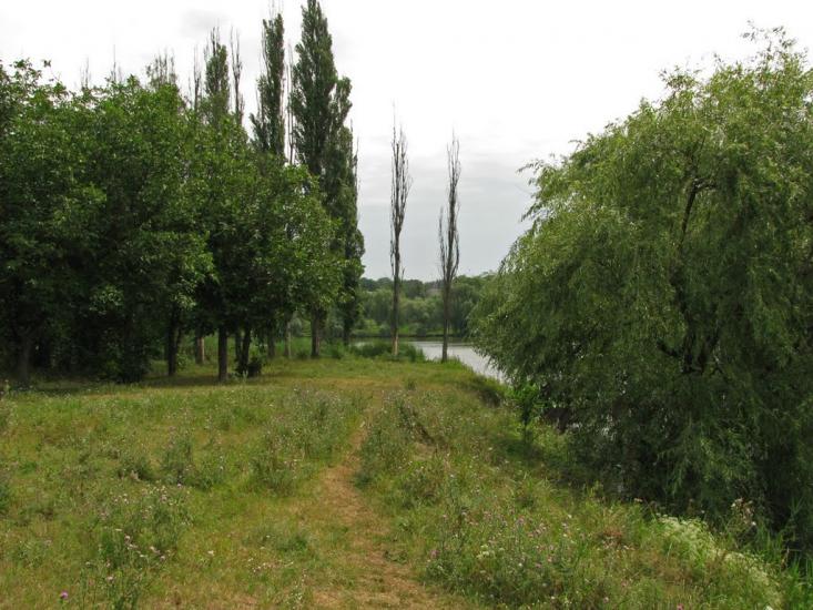 Кринички з panoramio.com - Кринички