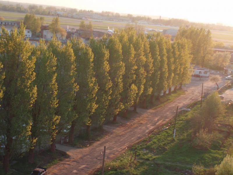 Сокільники з panoramio.com - Sokilnyky