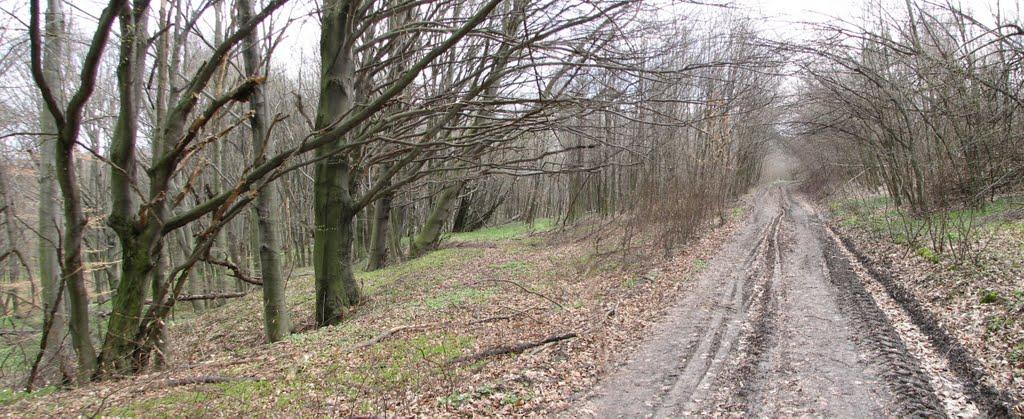 Гавареччина з panoramio.com - Гаваретчина