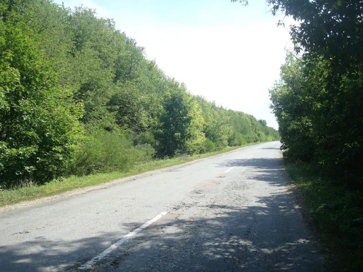 Струга з panoramio.com - Струга