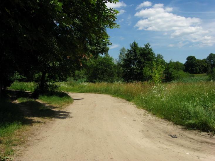 Малечковичі з panoramio.com - Малечковичи