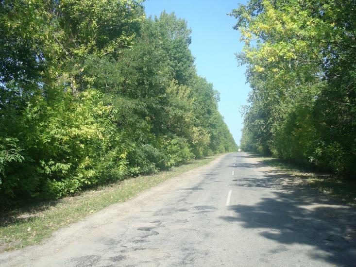 Вільховець з panoramio.com - Vilkhovets