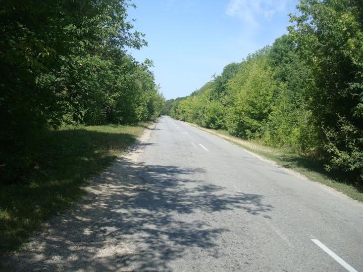 Струга з panoramio.com - Струга