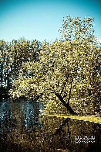 Блистова(фото з інтернету) - Блистова