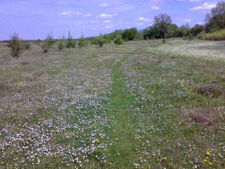 Березна з panoramio.com - Березна