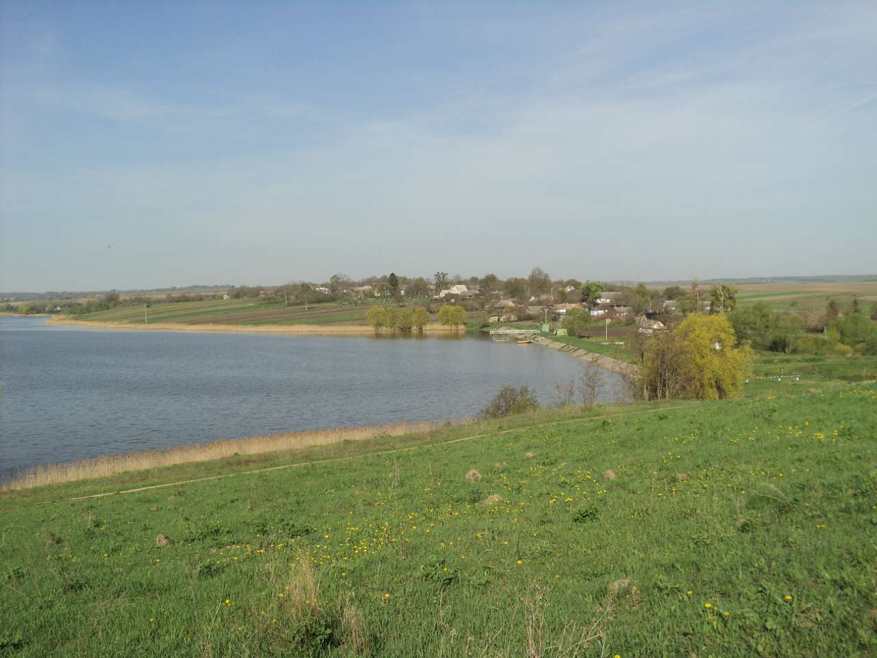 с лебеді - Лебеді