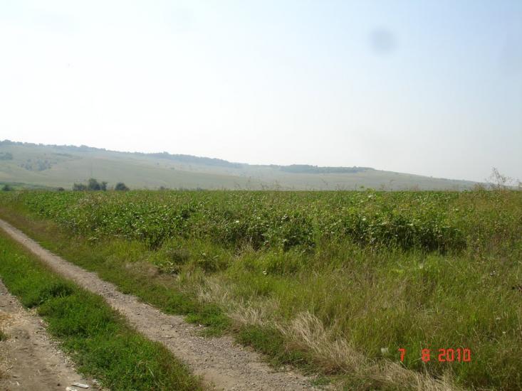 Шишківці з panoramio.com - Шишківці