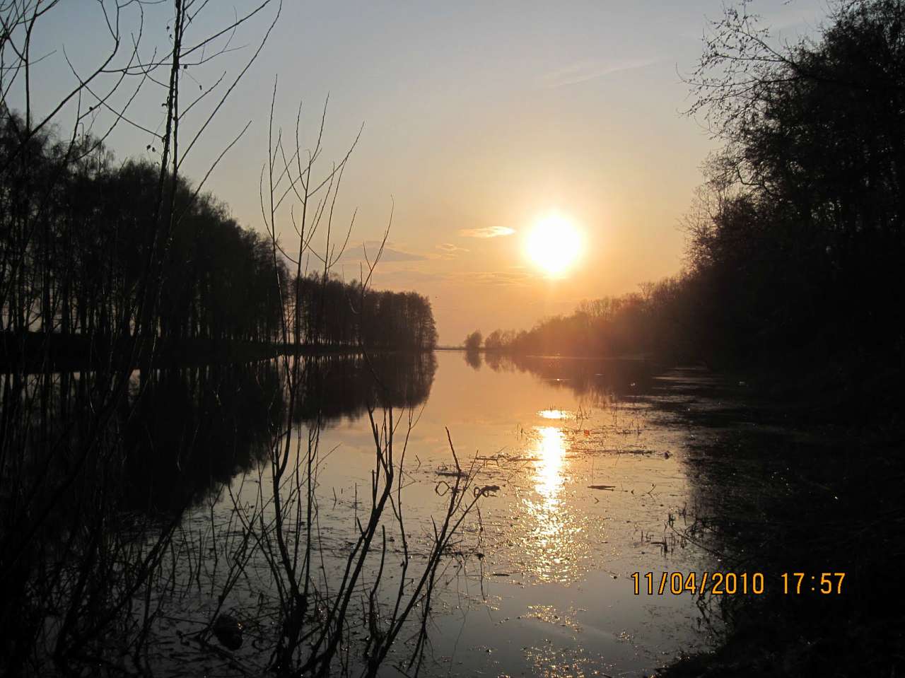 Блистова(фото з інтернету) - Блистова