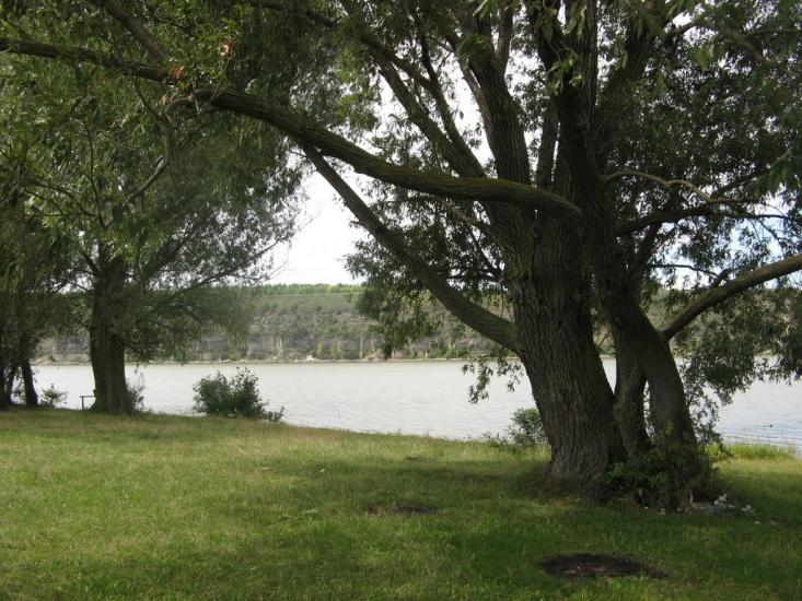 Вороновиця з panoramio.com - Вороновица
