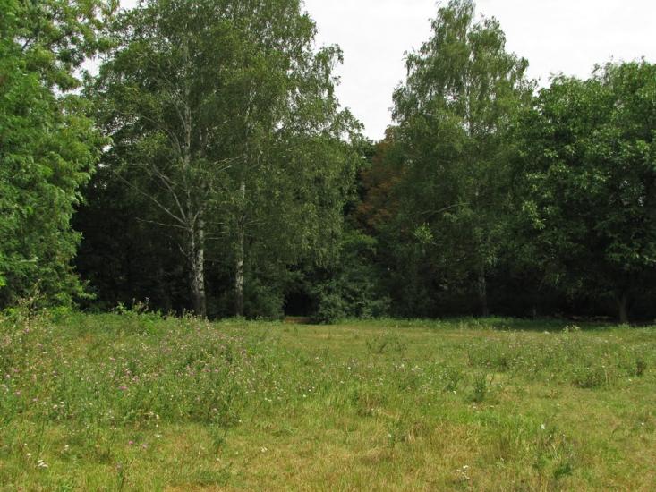 Кринички з panoramio.com - Кринички