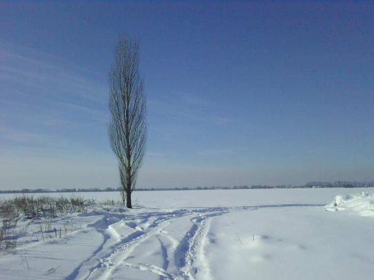 Гора з panoramio.com - Гора