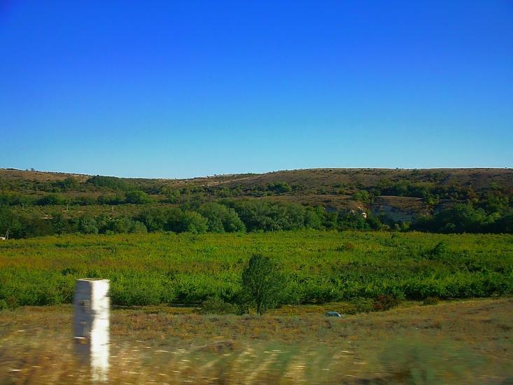 Шевченкове з panoramio.com - Шевченково