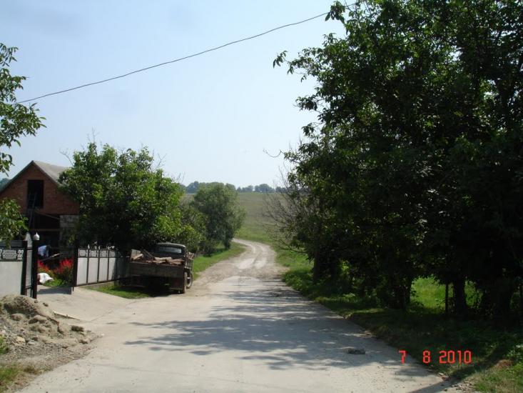Динівці з panoramio.com - Dynivtsi