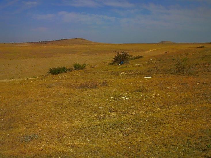 Кочергіне з panoramio.com - Кочергино