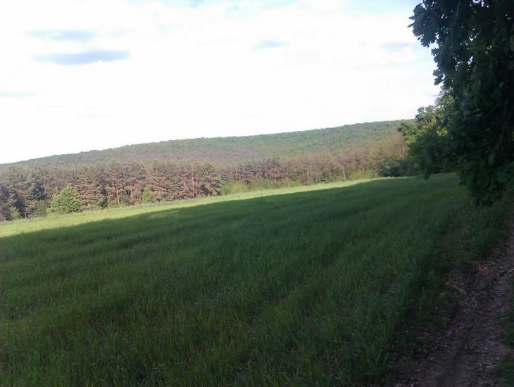 Журавка з panoramio.com