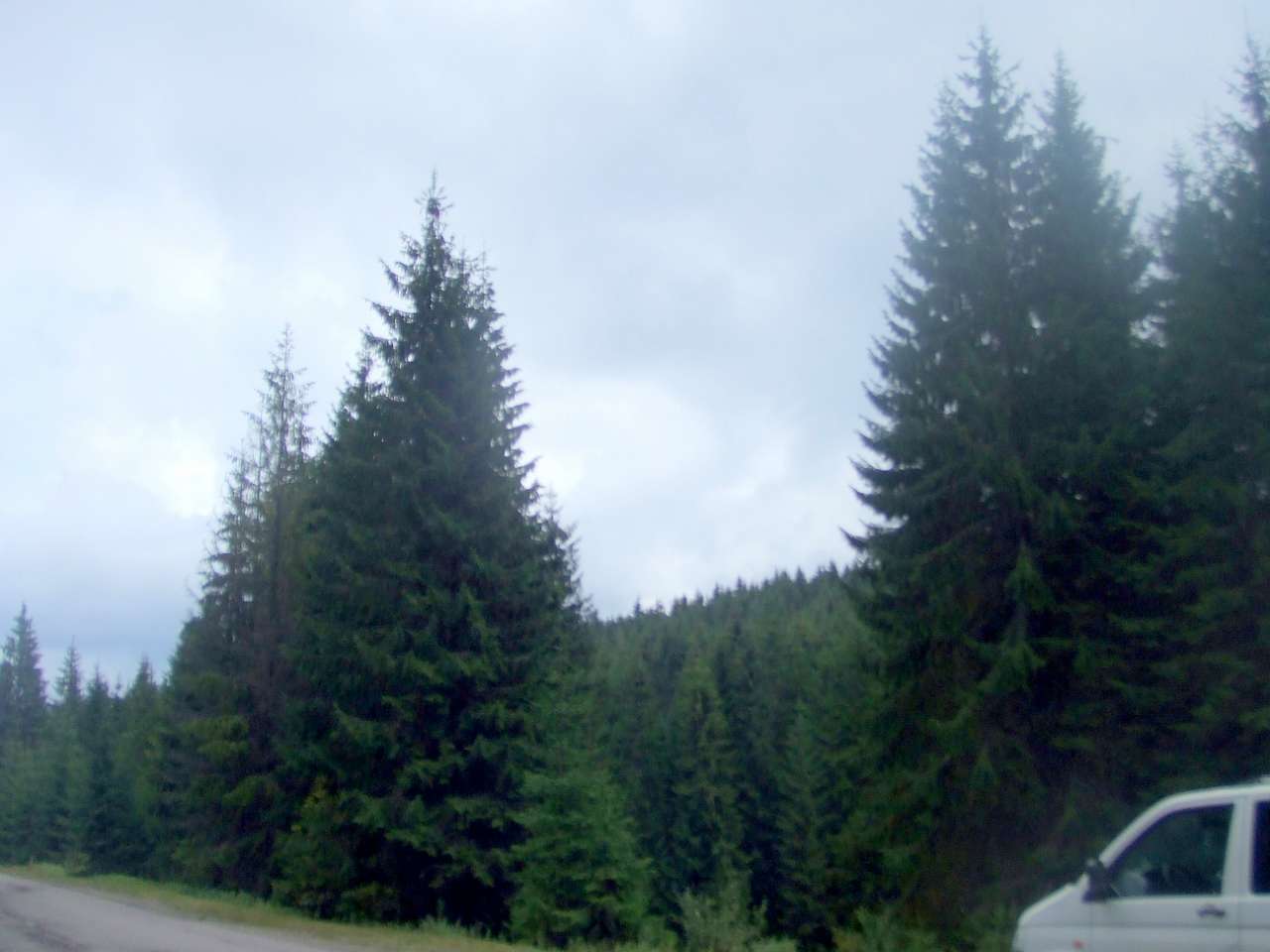 Краєвид - Вышков