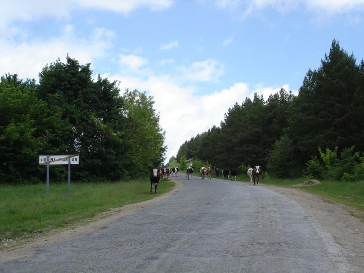 Браїлівка з panoramio.com - Брайловка