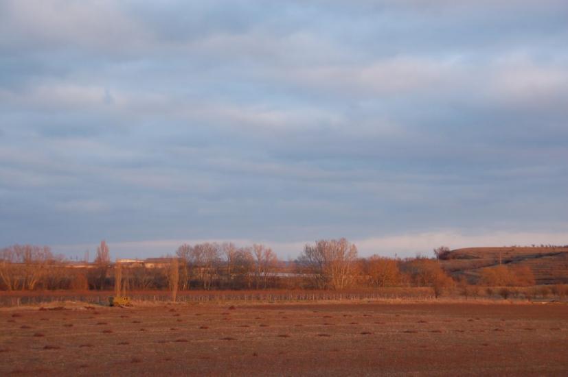 Віліне з panoramio.com - Вилино