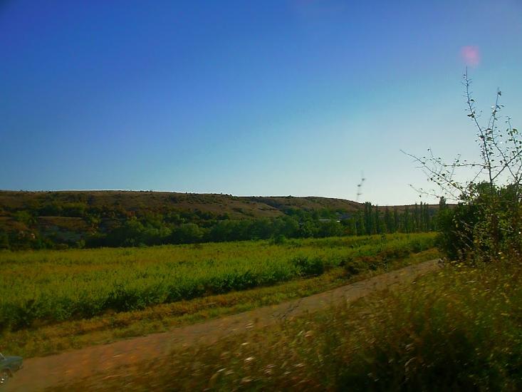 Шевченкове з panoramio.com - Шевченково