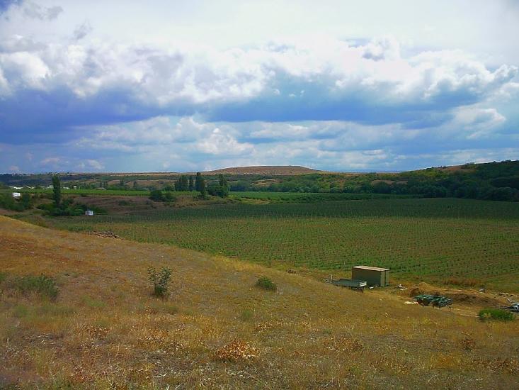 Шевченкове з panoramio.com - Шевченково