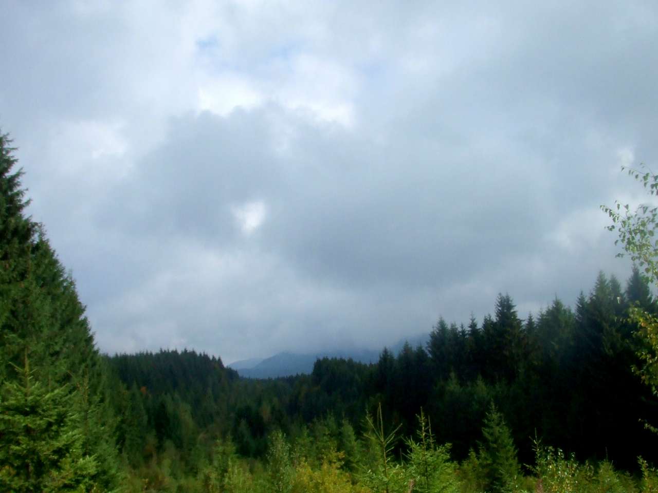 Краєвид - Вишків