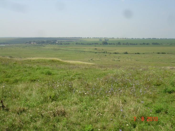 Динівці з panoramio.com - Динівці