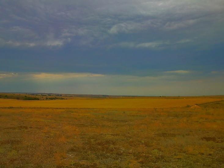 Каштани з panoramio.com - Каштани