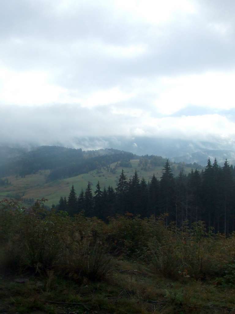 Краєвид - Вишків