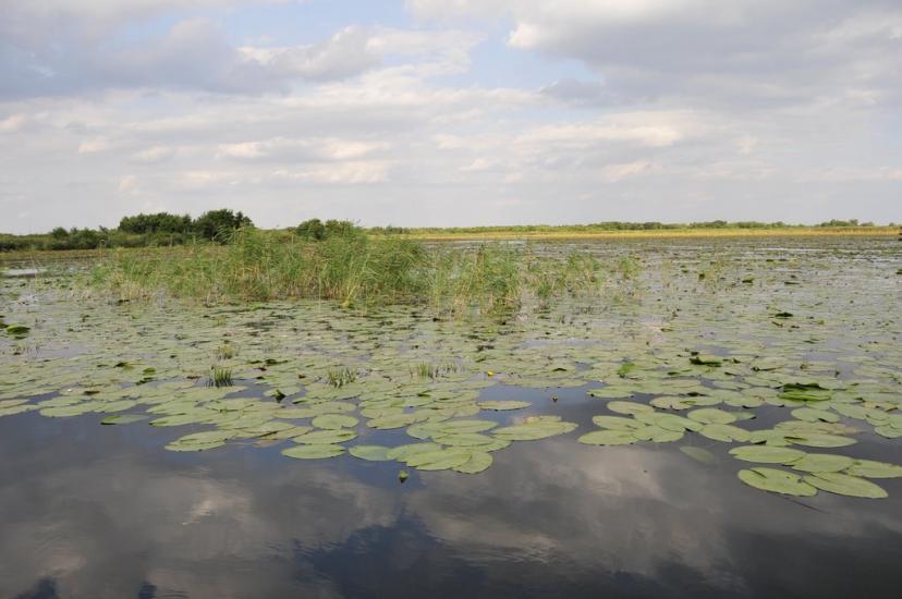 Кізомис з panoramio.com - Kizomys