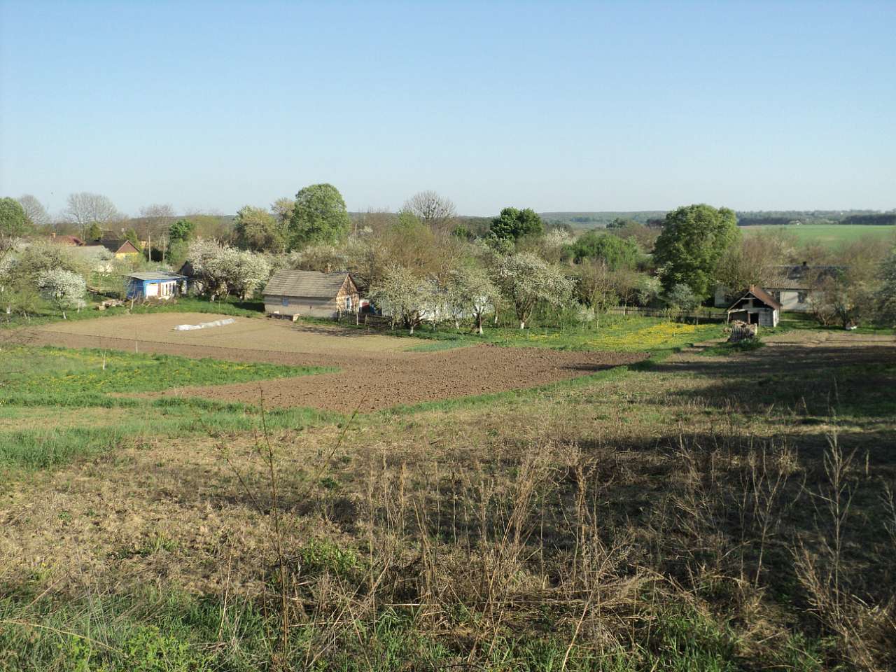 с лебеді - Лебеді