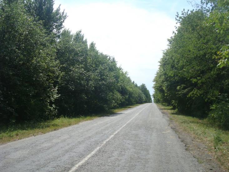 Струга з panoramio.com - Струга