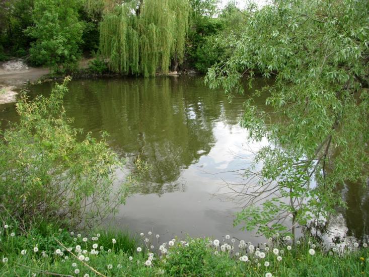 Кринички з panoramio.com - Кринички