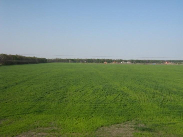 Гатне з panoramio.com - Gatne