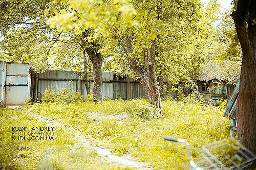 Блистова(фото з інтернету) - Блистова