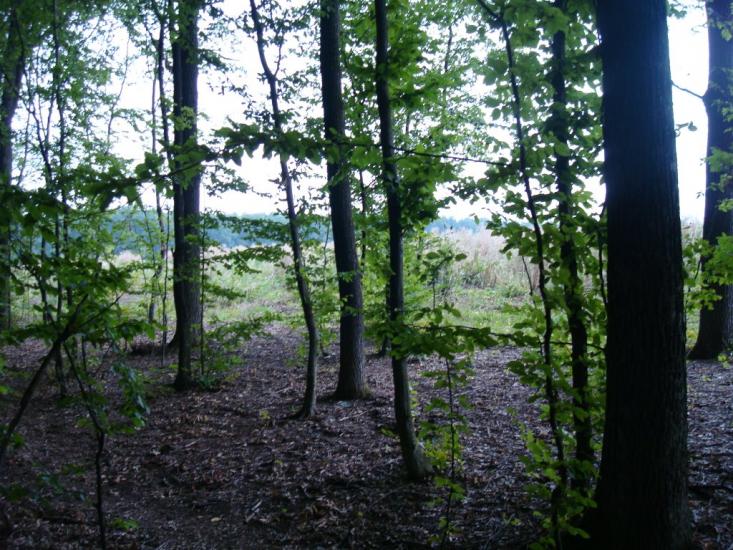 Любомирівка з panoramio.com - Любомировка