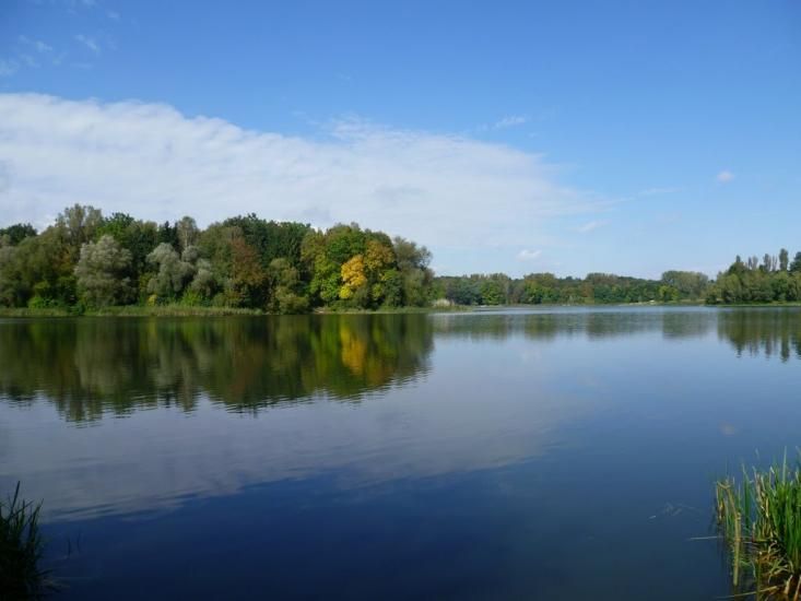 Малечковичі з panoramio.com - Малечковичи